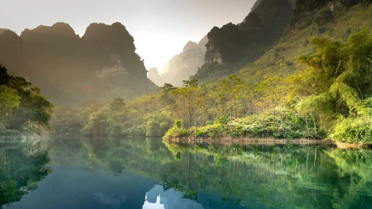 绿色高性能
